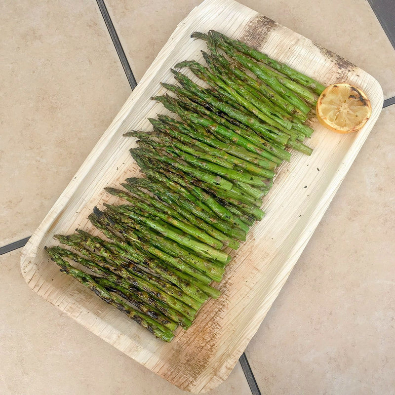 VerTerra Rectangle Tray 10"x14.5"