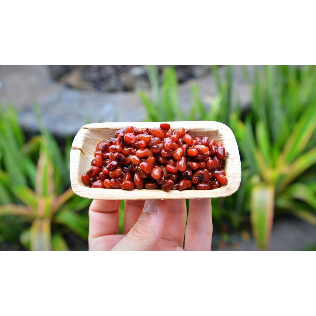 VerTerra Rectangle Mini Tray 2"x4"